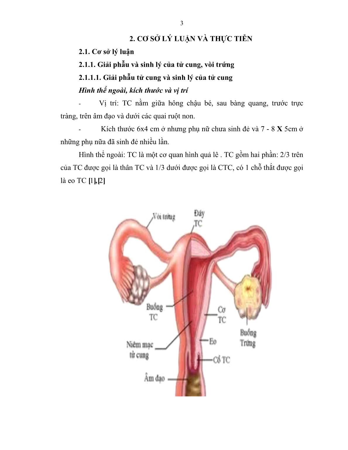 Luận văn Đánh giá và cách chăm sóc bệnh nhân mổ chửa ngoài tử cung trang 9