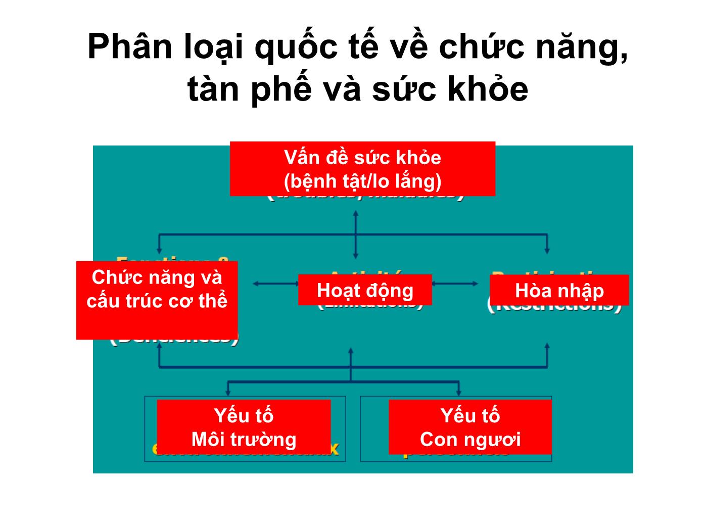 Bài giảng Vật lý trị liệu tại Châu Âu trang 10