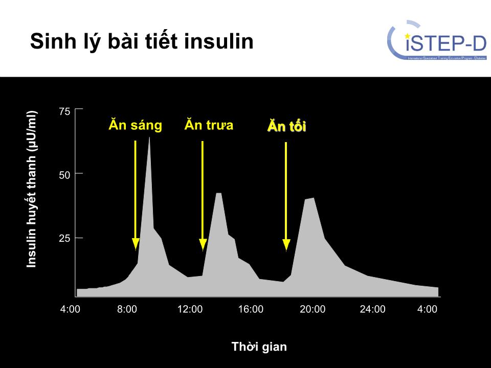 Insulin: Phân loại, khởi trị, chỉnh liều và điều trị tăng cường trang 4