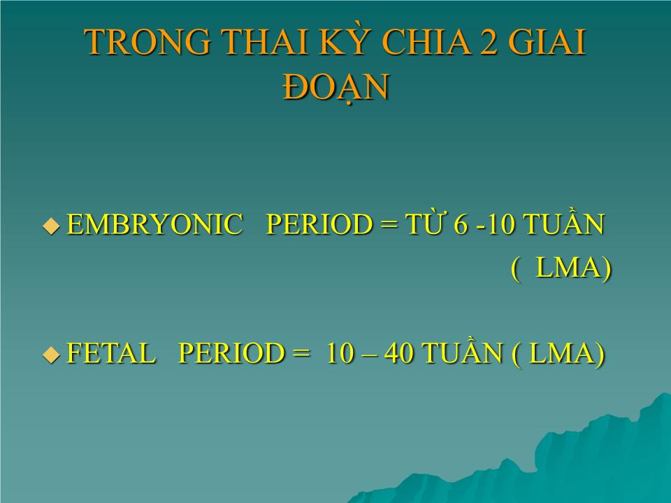 Bài giảng Siêu âm trong sản khoa trang 5