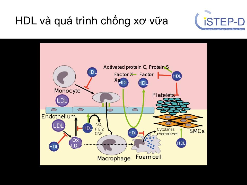 Rối loạn chuyển hóa lipid & các nguy cơ tim mạch trang 10