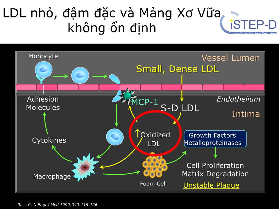 Rối loạn chuyển hóa lipid & các nguy cơ tim mạch trang 9