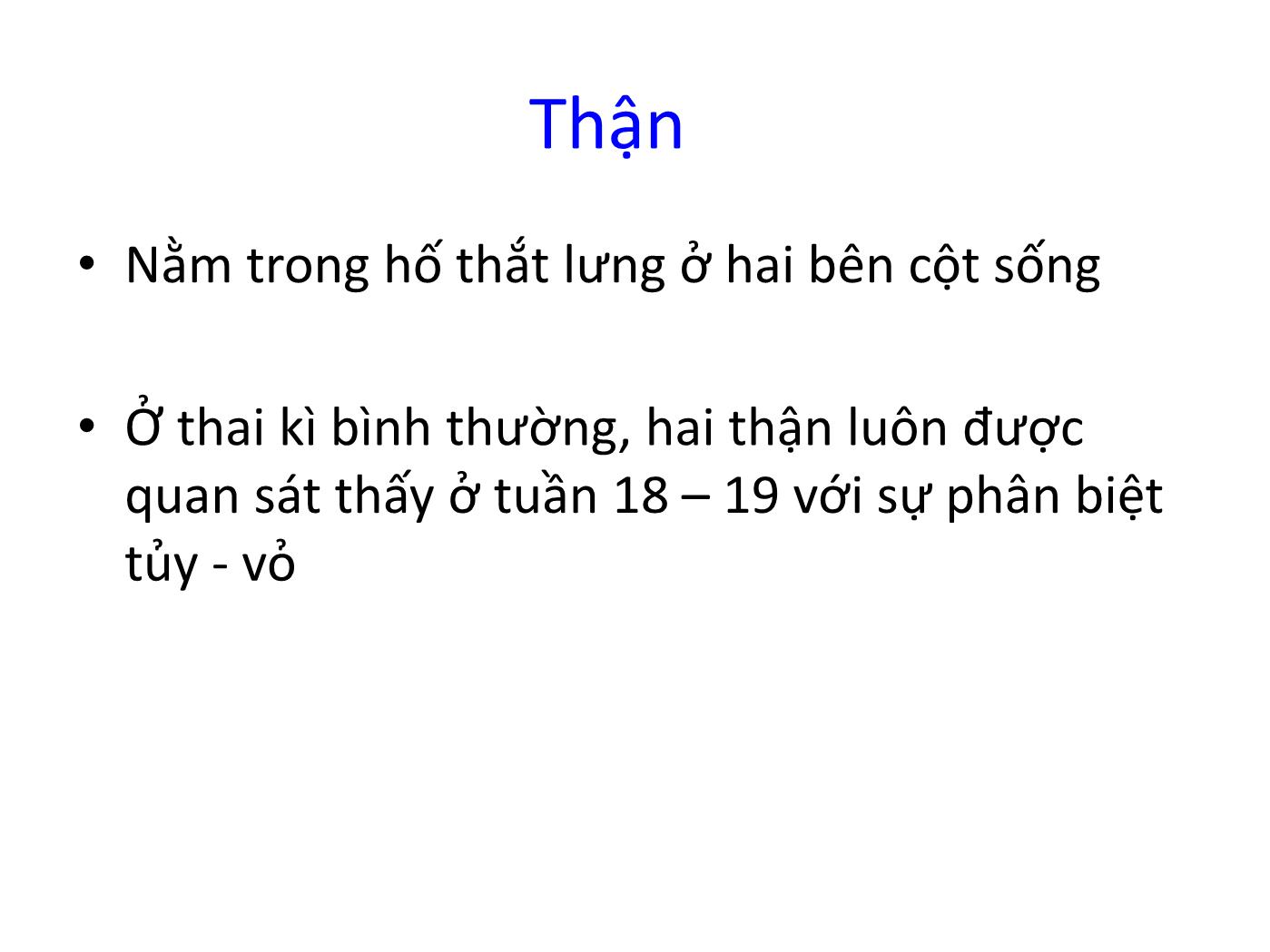 Bài giảng Hệ tiết niệu trang 4