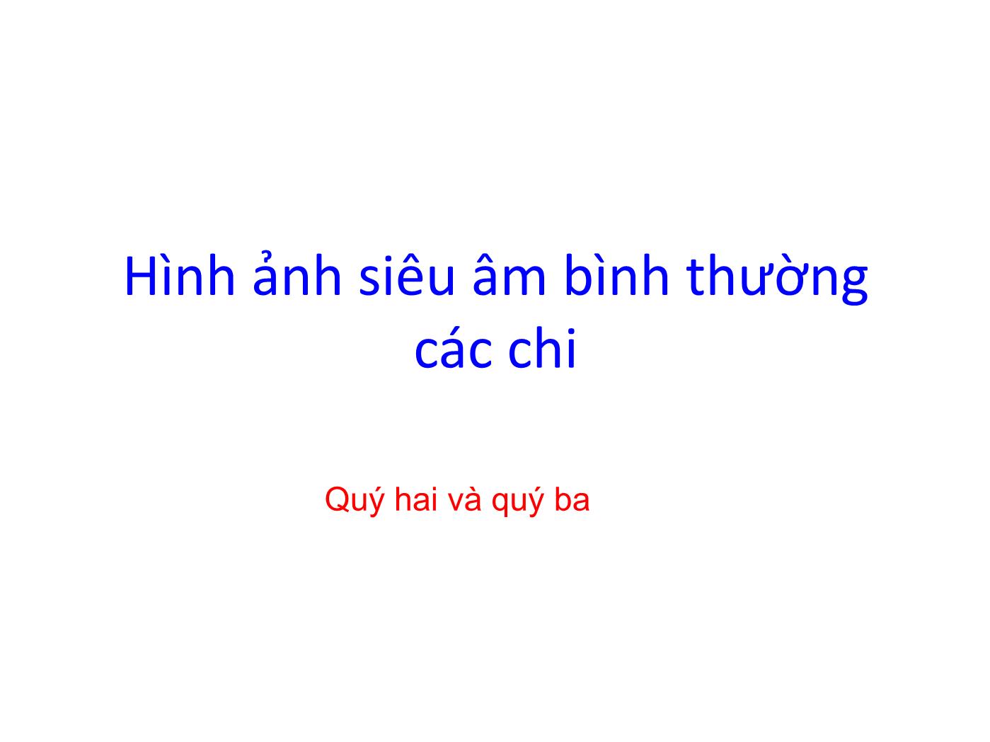 Hình ảnh siêu âm bình thường các chi trang 1