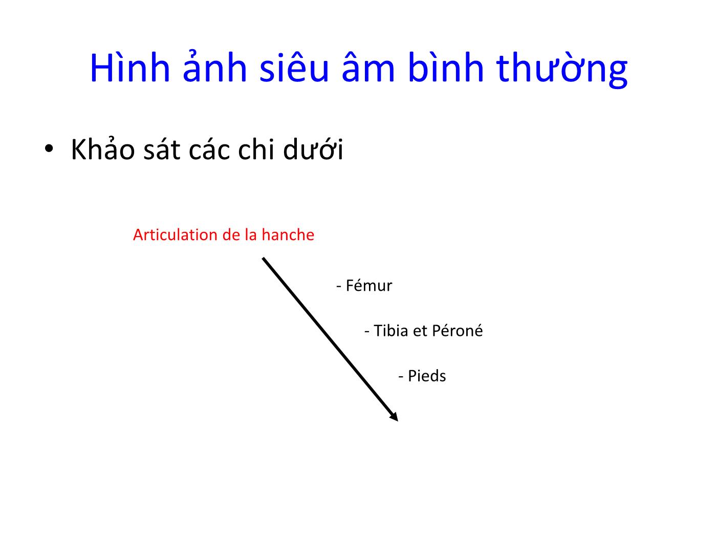 Hình ảnh siêu âm bình thường các chi trang 6