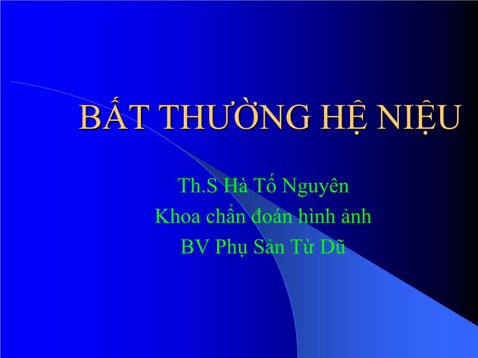 Bài giảng Bất thường hệ niệu - Hà Tố Nguyên trang 1