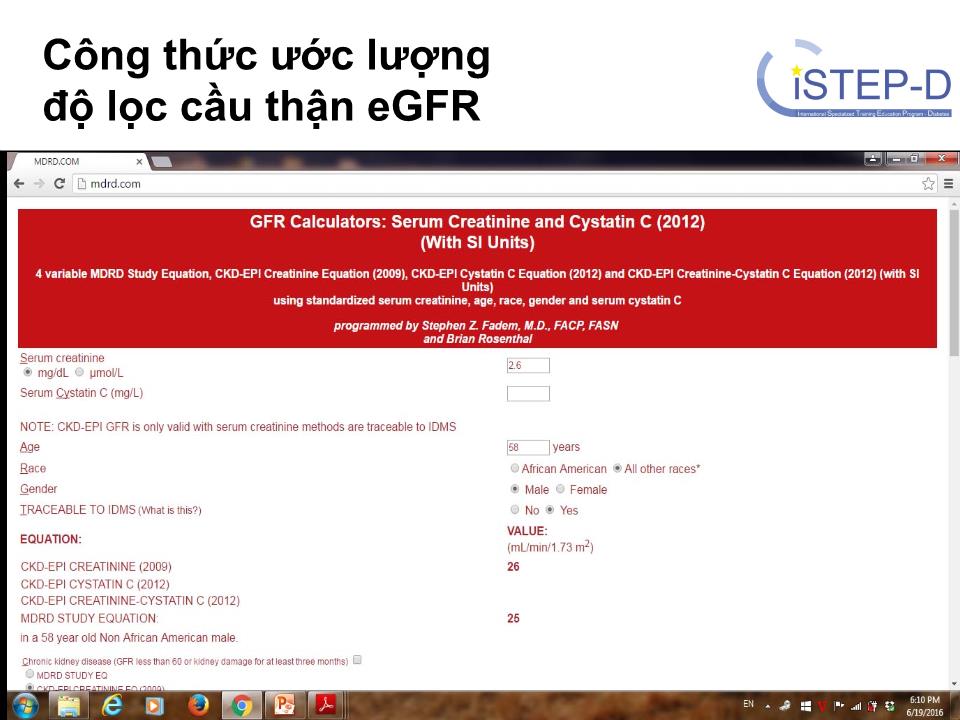 Đề tài Các giai đoạn bệnh thận ở bệnh nhân đái tháo đường - Huỳnh Ngọc Phương Thảo trang 8