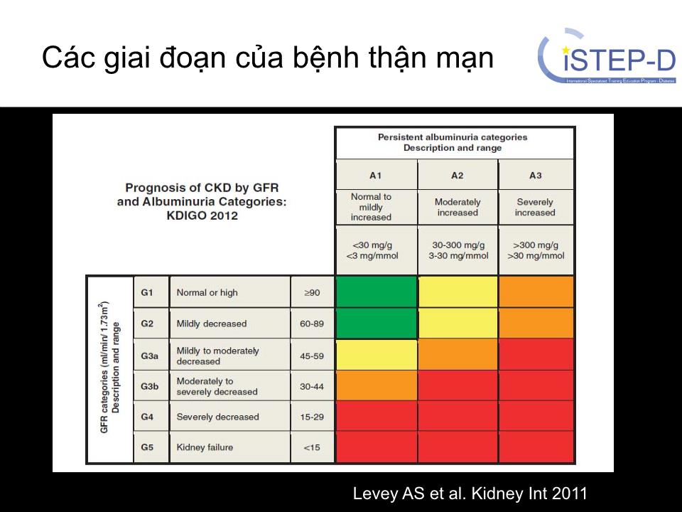 Đề tài Các giai đoạn bệnh thận ở bệnh nhân đái tháo đường - Huỳnh Ngọc Phương Thảo trang 9