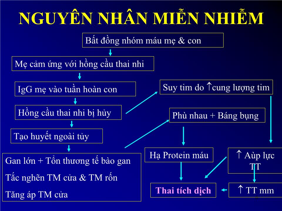 Bài giảng Siêu âm thai tích dịch - Lê Thị Thu Hà trang 6