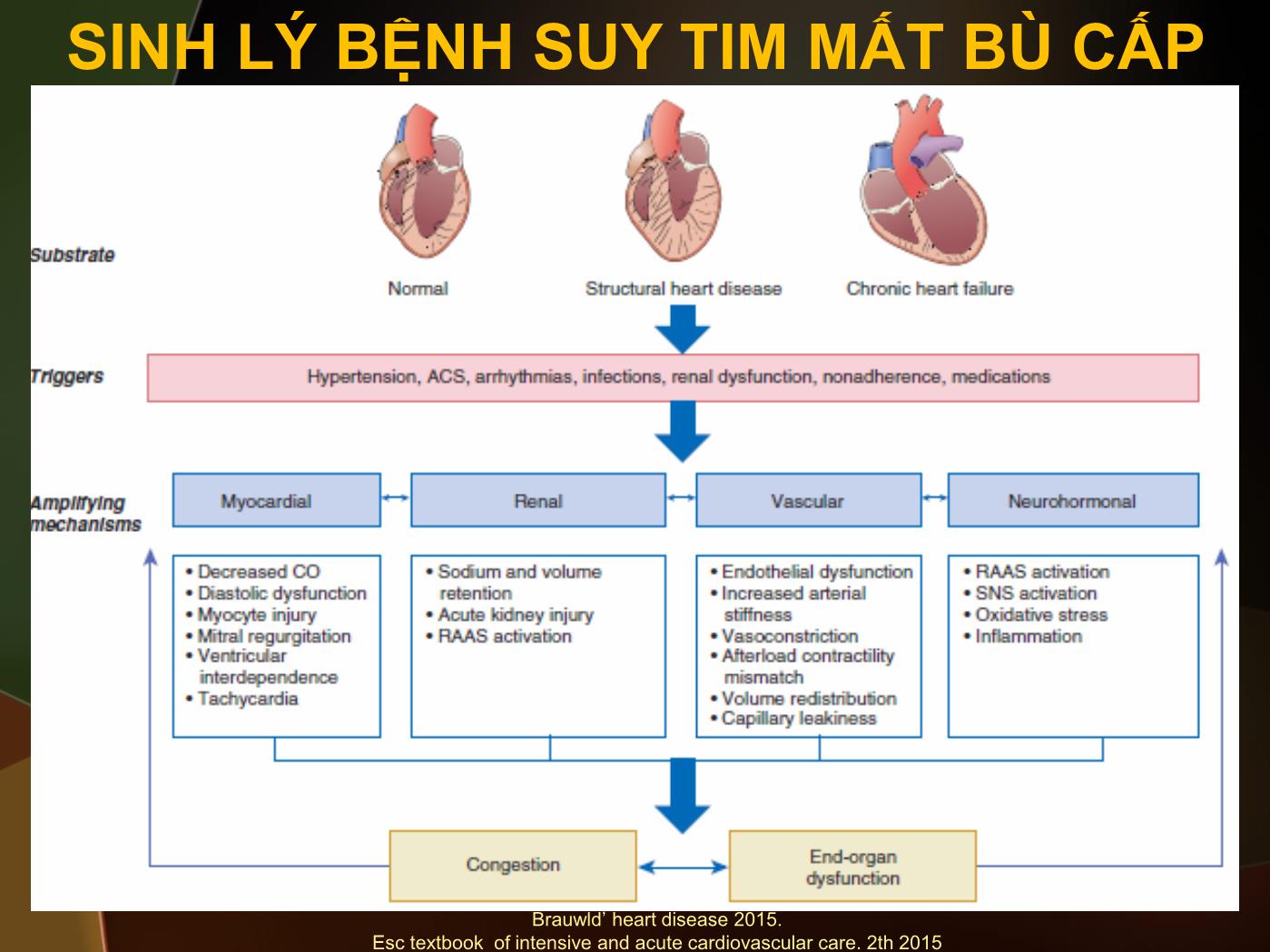 Đề tài Một số vấn đề trong điều trị suy tim mất bù cấp - Nguyễn Thanh Hiền trang 3