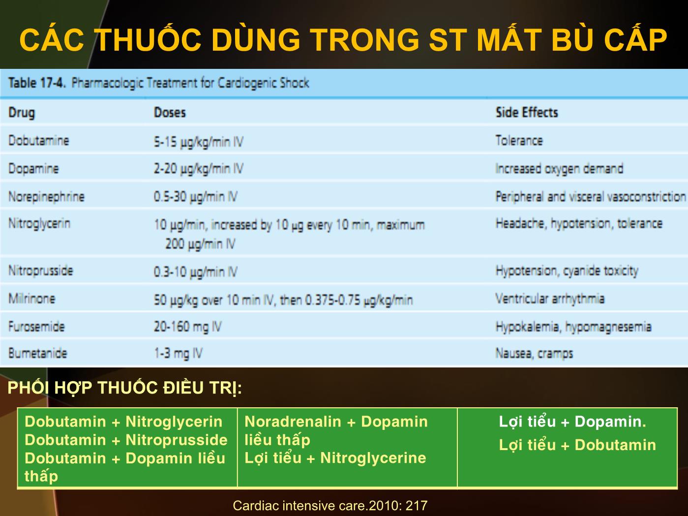 Đề tài Một số vấn đề trong điều trị suy tim mất bù cấp - Nguyễn Thanh Hiền trang 9