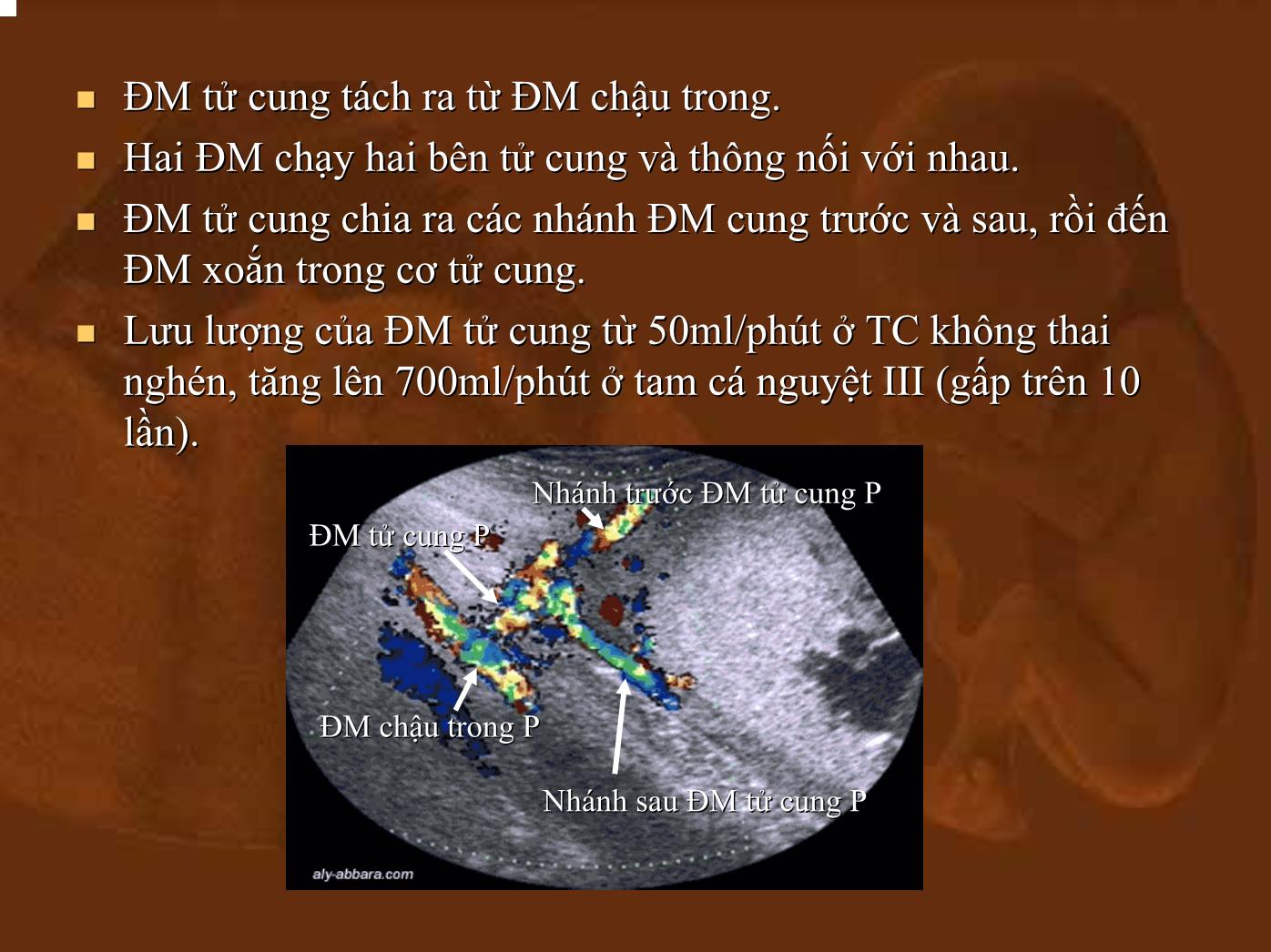 Bài giảng Doppler ứng dụng trong sản phụ khoa - Nguyễn Quang Trọng trang 7