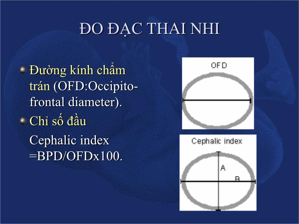 Đề tài Siêu âm chẩn đoán sự sống & sự tăng trưởng của thai - Nguyễn Quý Khoáng trang 10