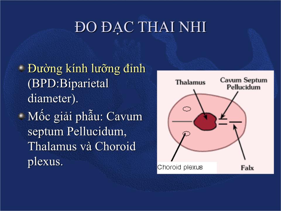 Đề tài Siêu âm chẩn đoán sự sống & sự tăng trưởng của thai - Nguyễn Quý Khoáng trang 8