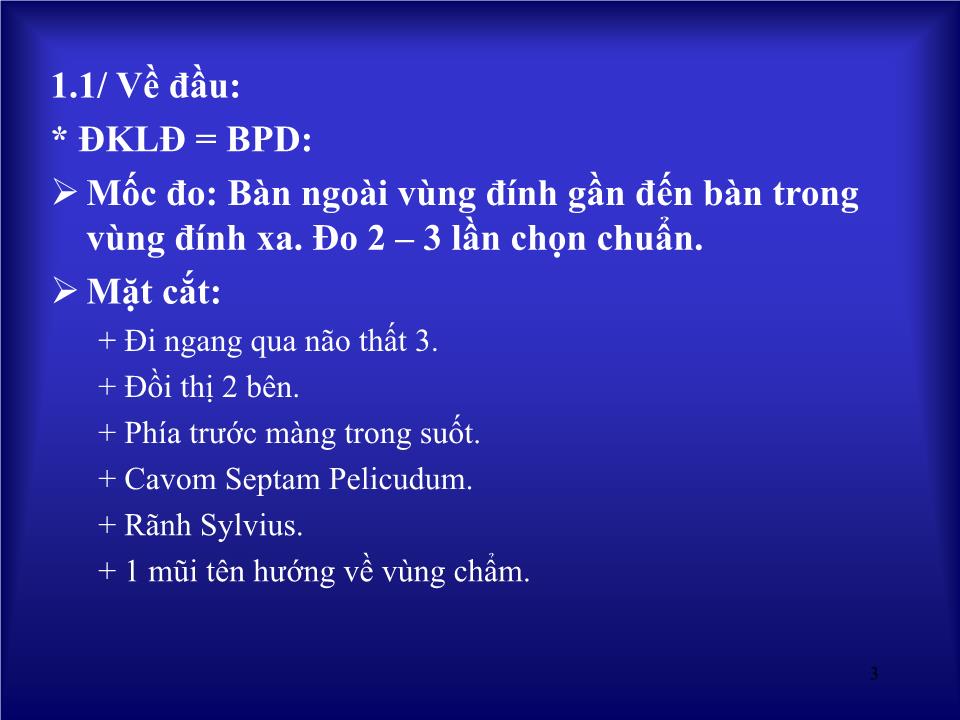 Bài giảng Siêu âm trong chẩn đoán sự sống và tăng trưởng thai nhi - Huỳnh Văn Nhàn trang 3