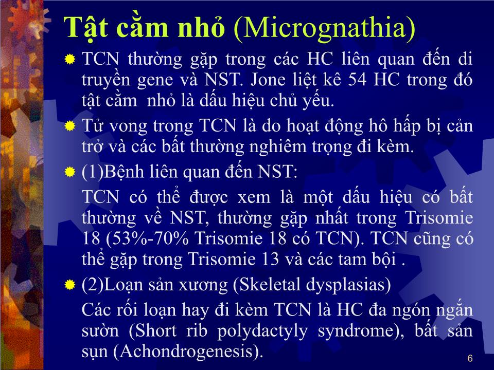 Bài giảng Dị tật mặt - cổ - Bùi Thị Hồng Nga trang 6