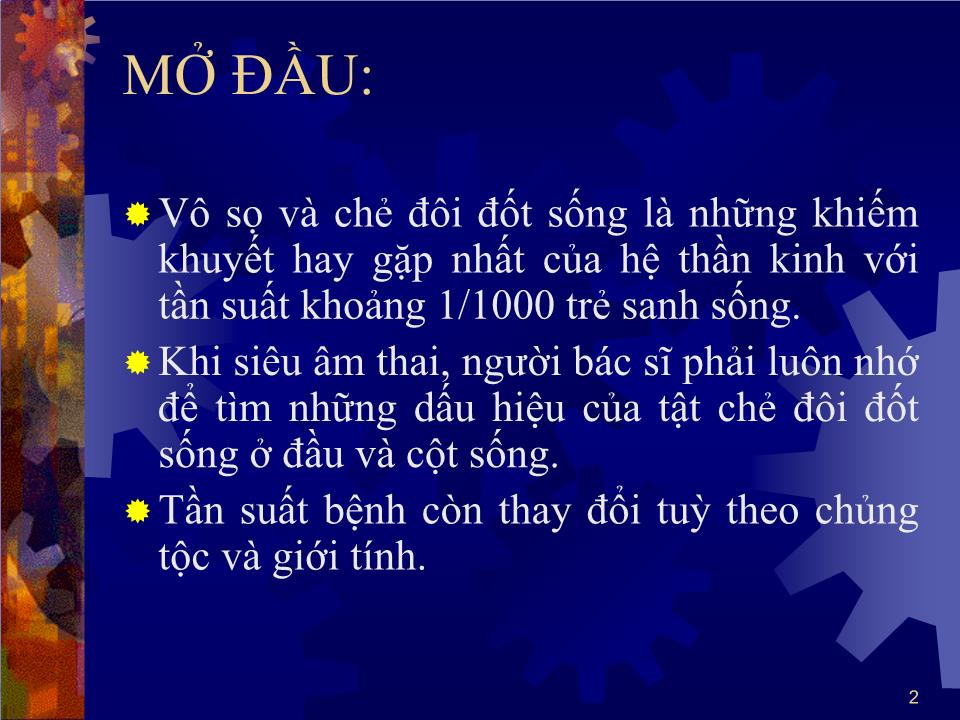 Bài giảng Dị tật cột sống - Hà Tố Nguyên trang 2