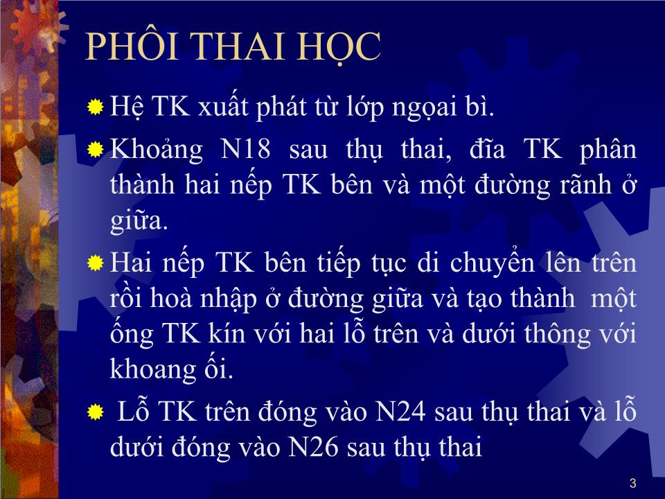 Bài giảng Dị tật cột sống - Hà Tố Nguyên trang 3