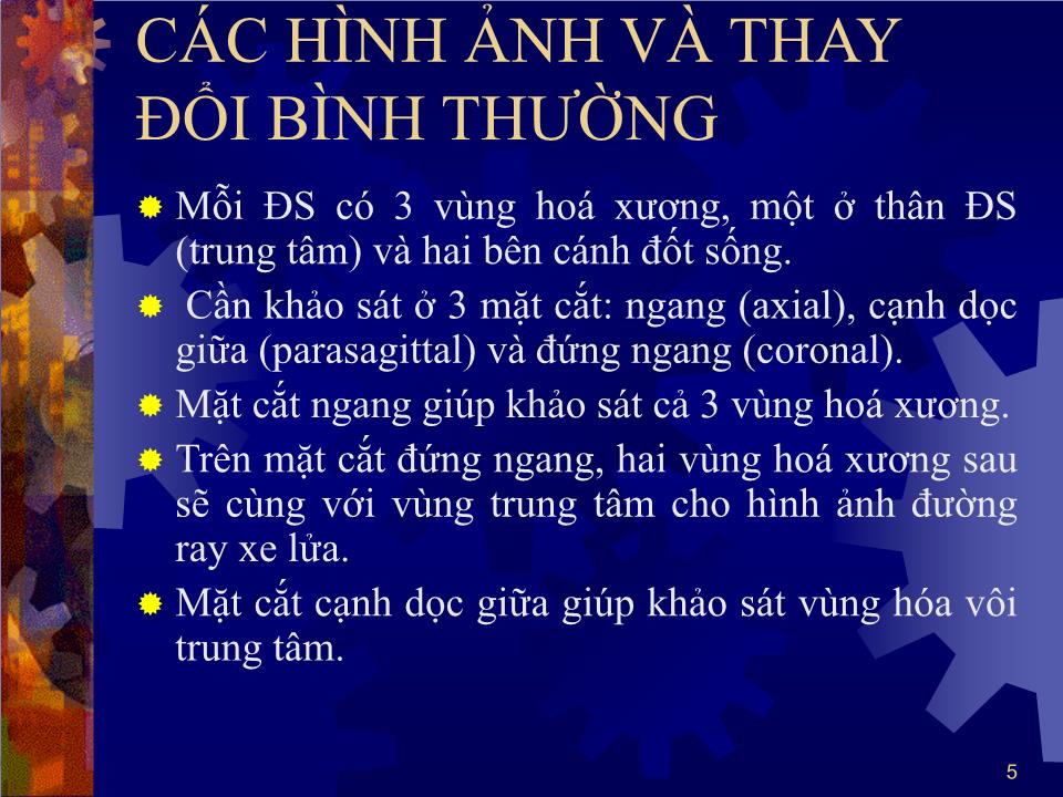 Bài giảng Dị tật cột sống - Hà Tố Nguyên trang 5