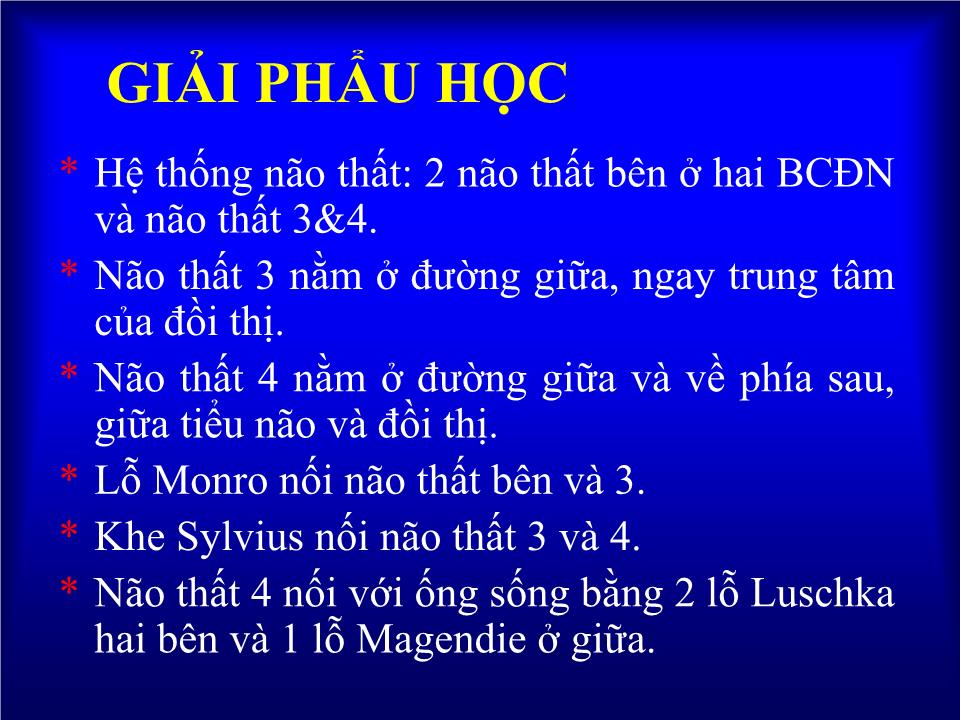 Bài giảng Dị tật đầu - Hà Tố Nguyên trang 2