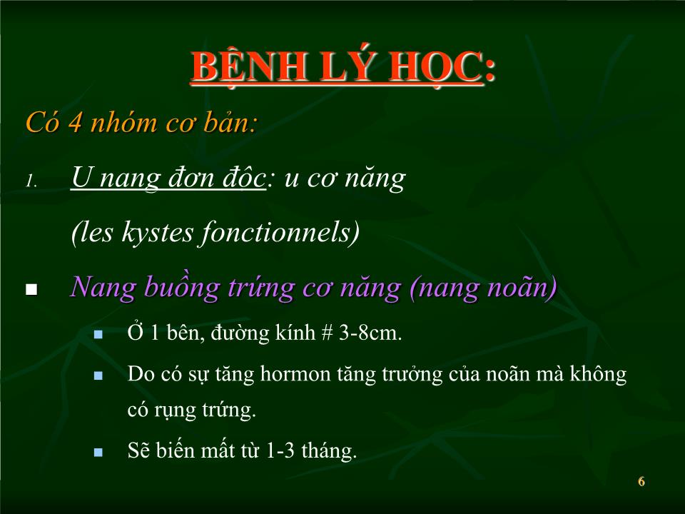 Bài giảng Siêu âm trong chẩn đoán khối u phần phụ - Lăng Thị Hữu Hiệp trang 6