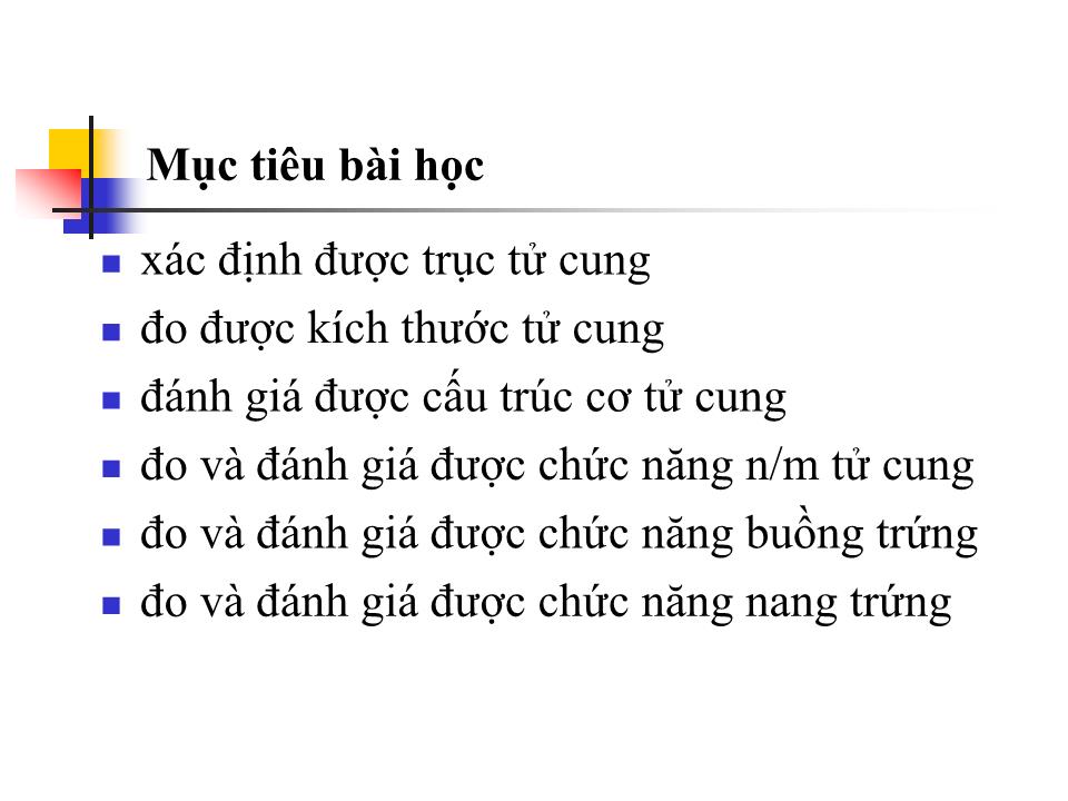 Bài giảng Kỹ thuật siêu âm phụ khoa - Nguyễn Anh Tuấn trang 3