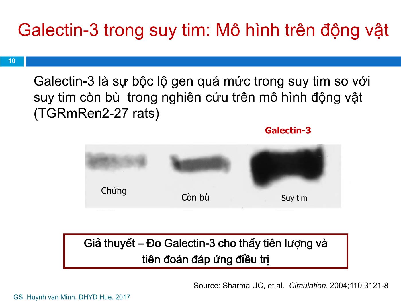 Đề tài Galectin-3: Dấu ấn mới trong tiên lượng suy tim - Huỳnh Văn Minh trang 10