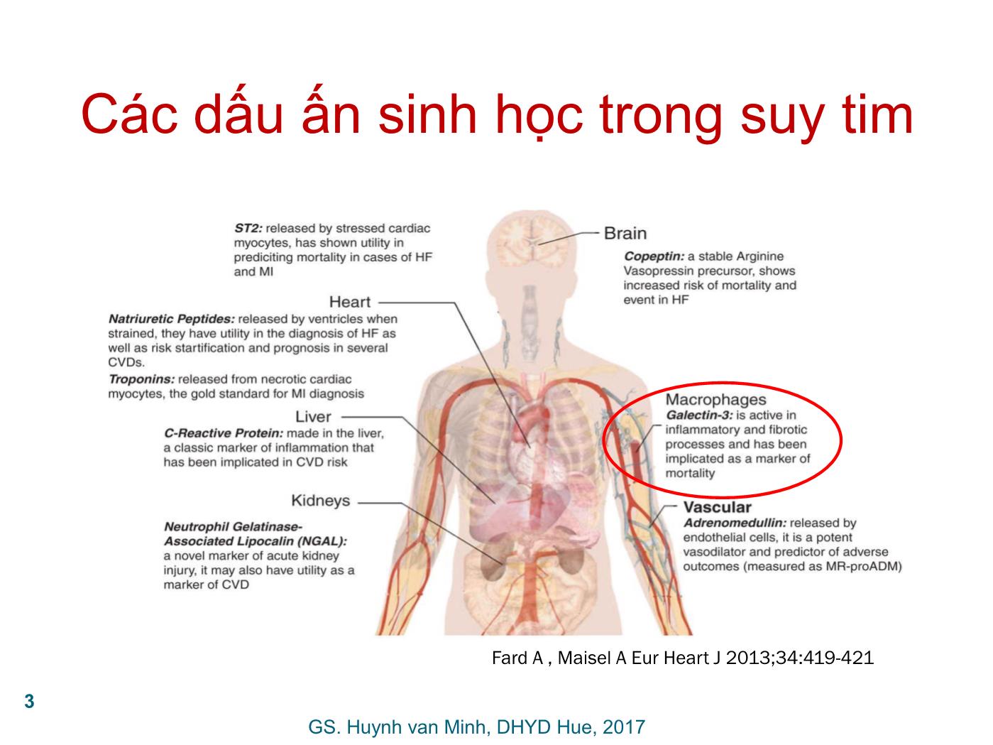 Đề tài Galectin-3: Dấu ấn mới trong tiên lượng suy tim - Huỳnh Văn Minh trang 3