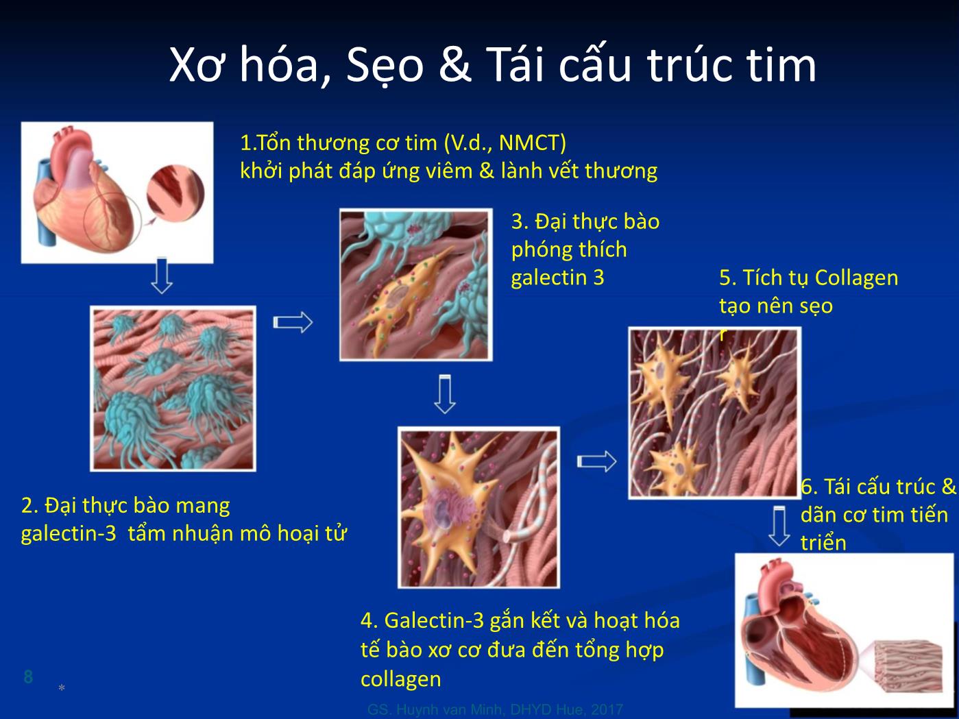 Đề tài Galectin-3: Dấu ấn mới trong tiên lượng suy tim - Huỳnh Văn Minh trang 8