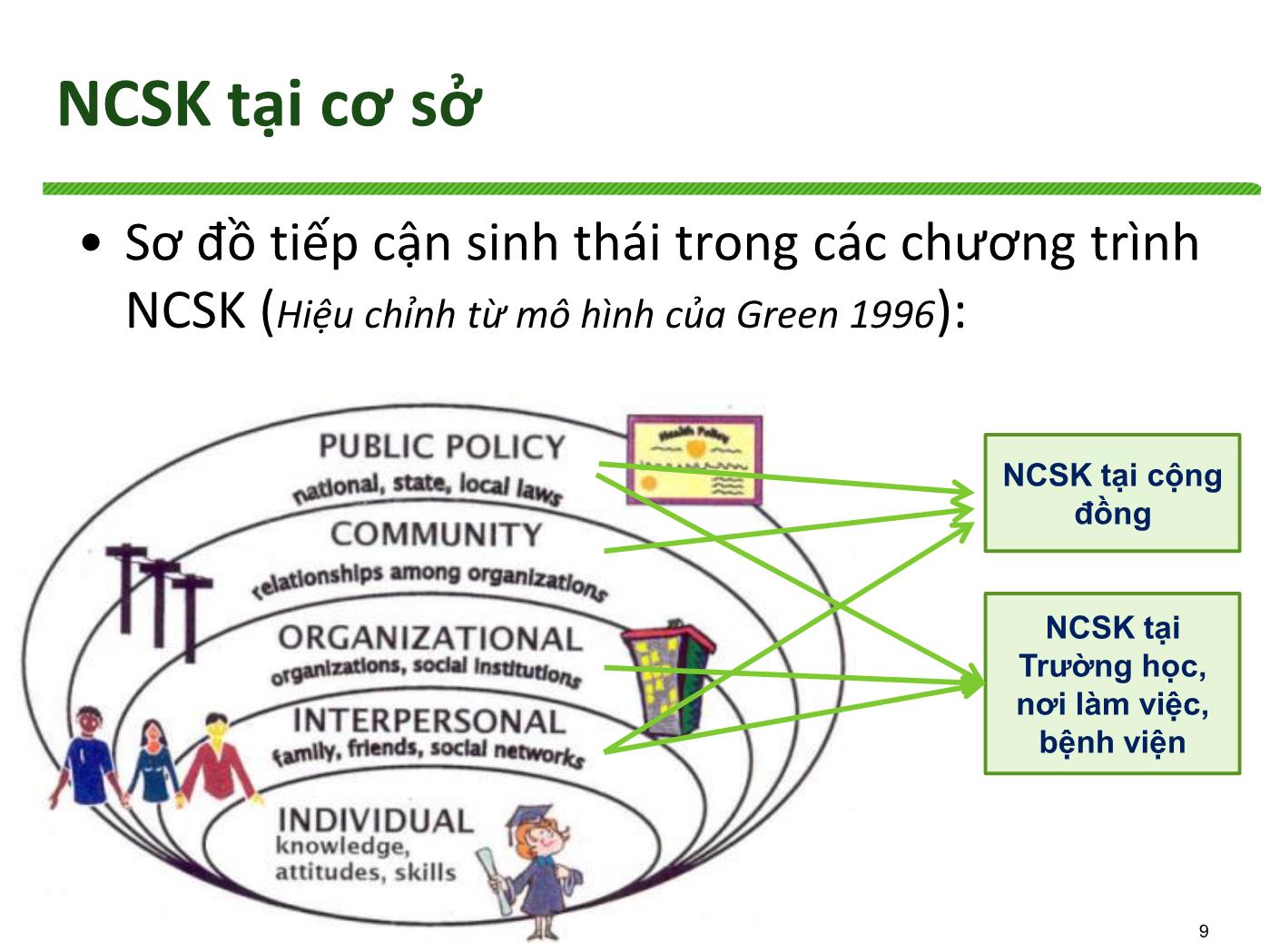 Bài giảng Nâng cao sức khoẻ tại các cơ sở/địa điểm - Trương Quang Tiến trang 9