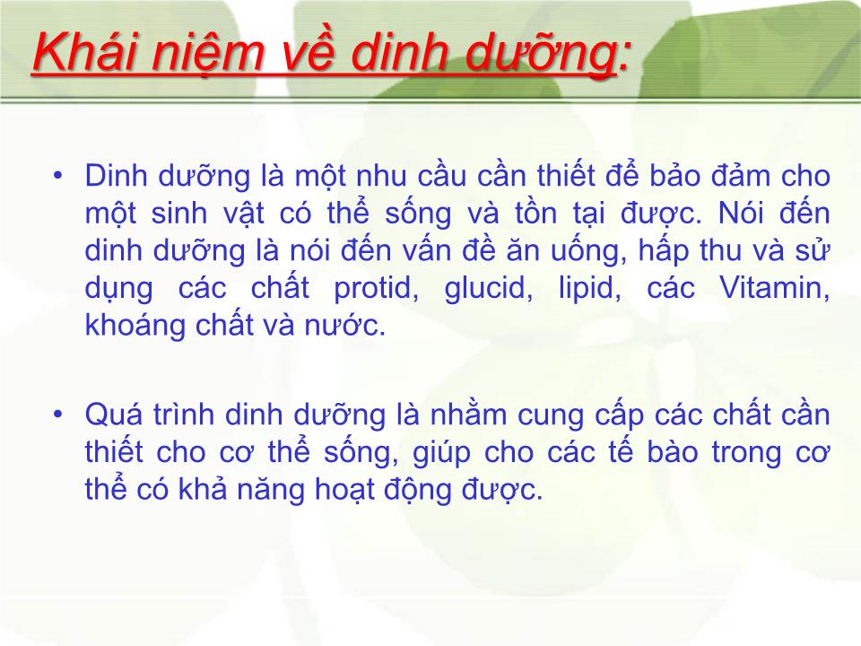 Bài giảng Dinh dưỡng và sức khỏe - Nguyễn Thị Hiền trang 7