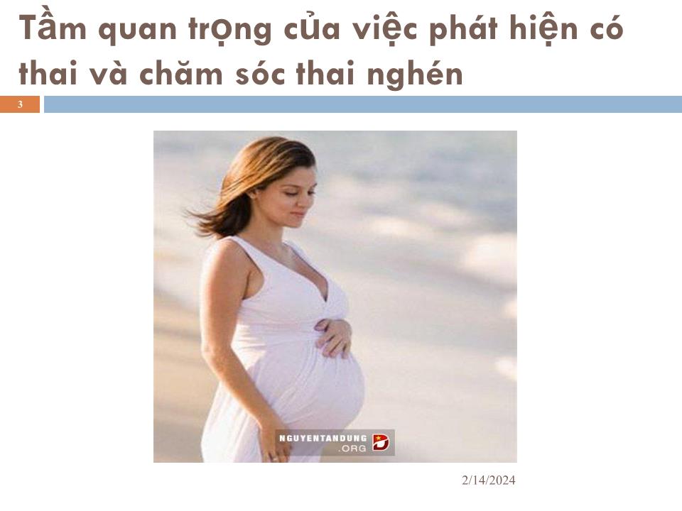 Bài giảng Cách phát hiện có thai và cách chăm sóc thai nghén tại cộng đồng trang 3