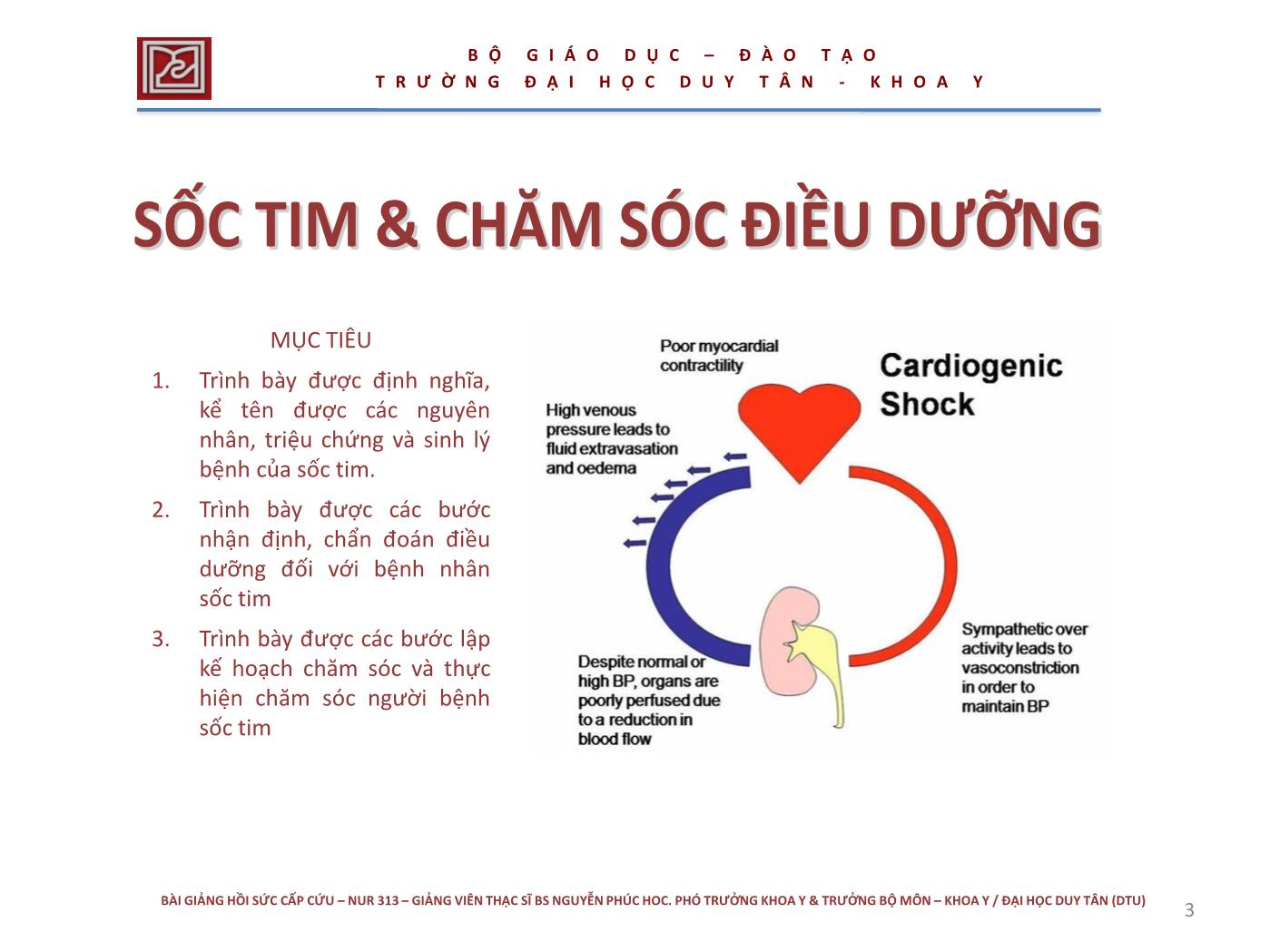 Bài giảng Hồi sức cấp cứu NUR 313 - Nguyễn Phúc Học trang 3