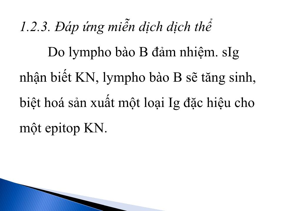 Bài giảng Miễn dịch chống vi sinh vật trang 5