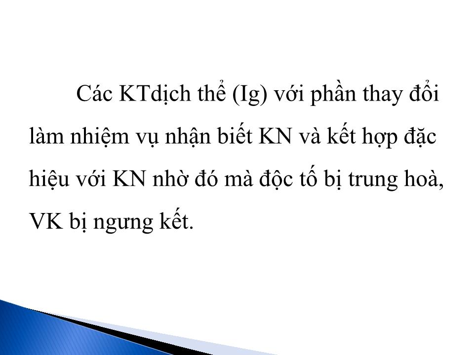 Bài giảng Miễn dịch chống vi sinh vật trang 6