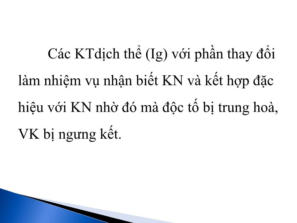 Bài giảng Miễn dịch chống vi sinh vật trang 7