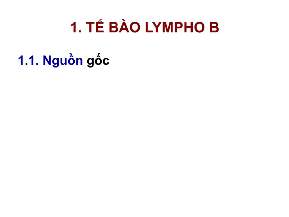 Bài giảng Miễn dịch - Bài: Tế bào B & đáp ứng miễn dịch dịch thể trang 3