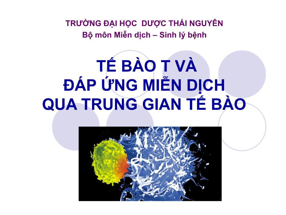 Bài giảng Miễn dịch - Bài: Tế bào T và đáp ứng miễn dịch qua trung gian tế bào trang 1