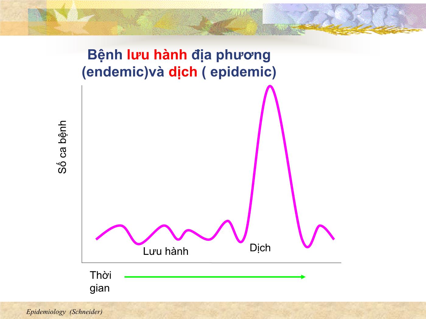 Điều tra vụ bùng phát bệnh từ thực phẩm - Lê Hoàng Ninh trang 3