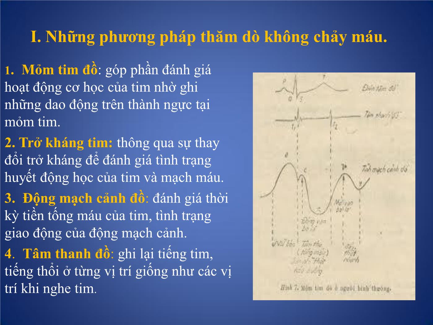 Các phương pháp thăm dò chức năng tim trang 2