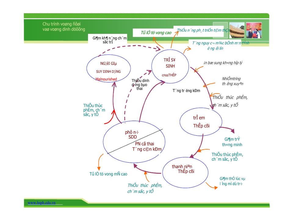 Bài giảng Can thiệp dinh dưỡng - Trường Đại học Y tế công cộng trang 7