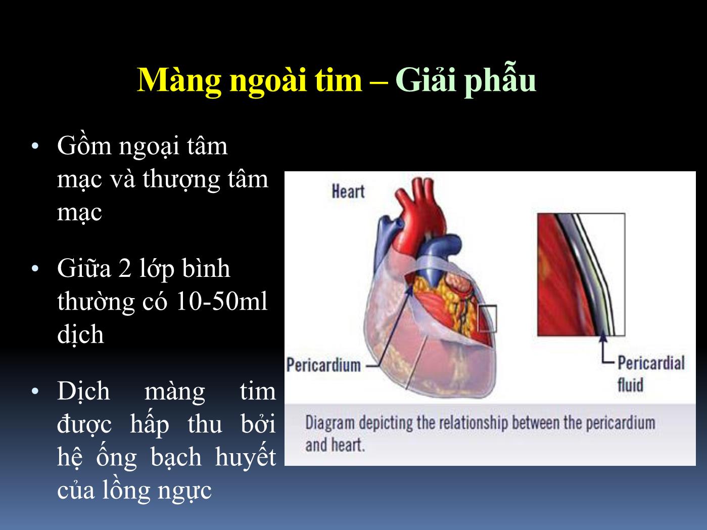 Bài giảng Cấp cứu tràn dịch màng tim gây ép tim - Hoàng Việt Anh trang 2