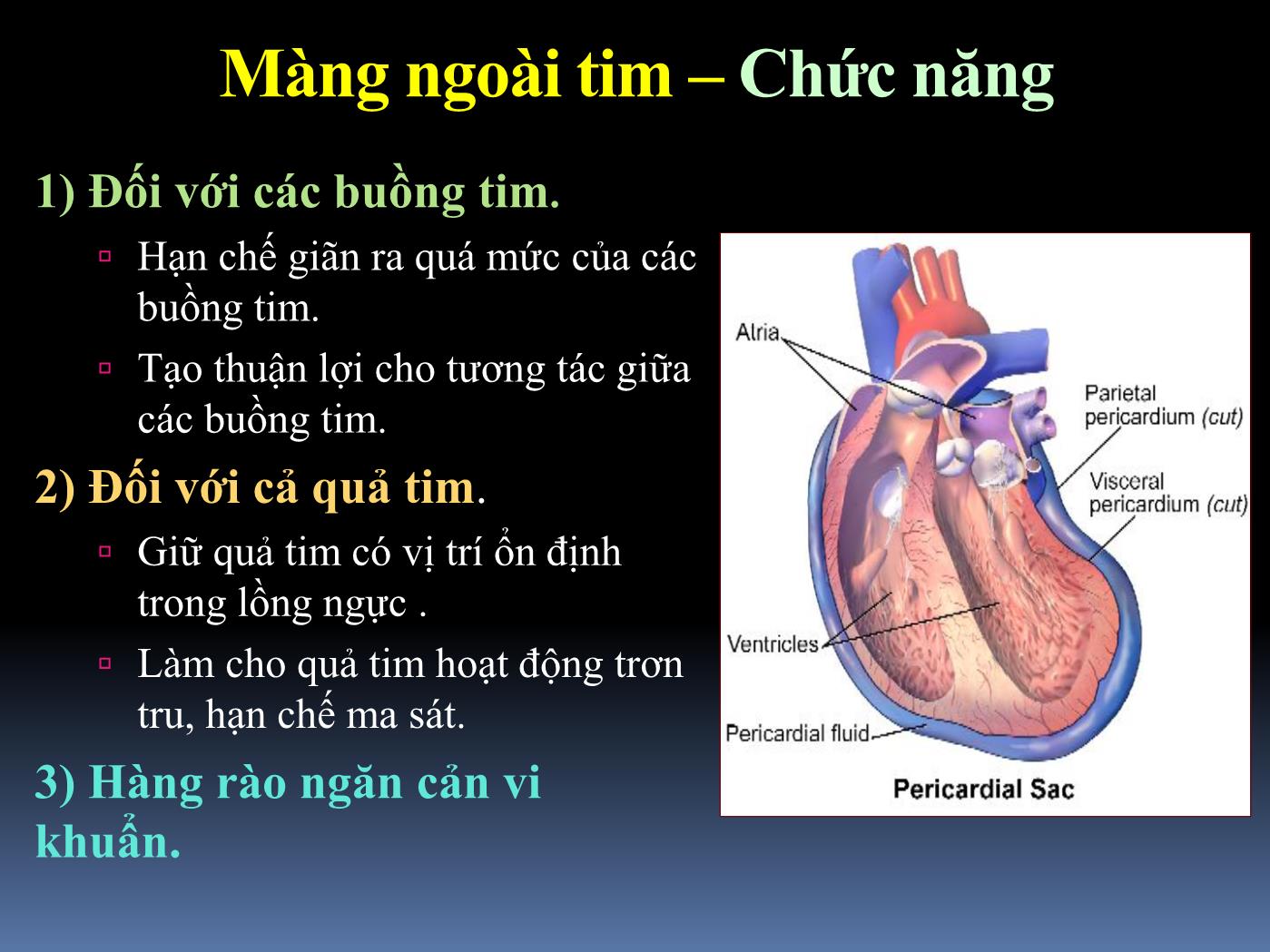 Bài giảng Cấp cứu tràn dịch màng tim gây ép tim - Hoàng Việt Anh trang 3