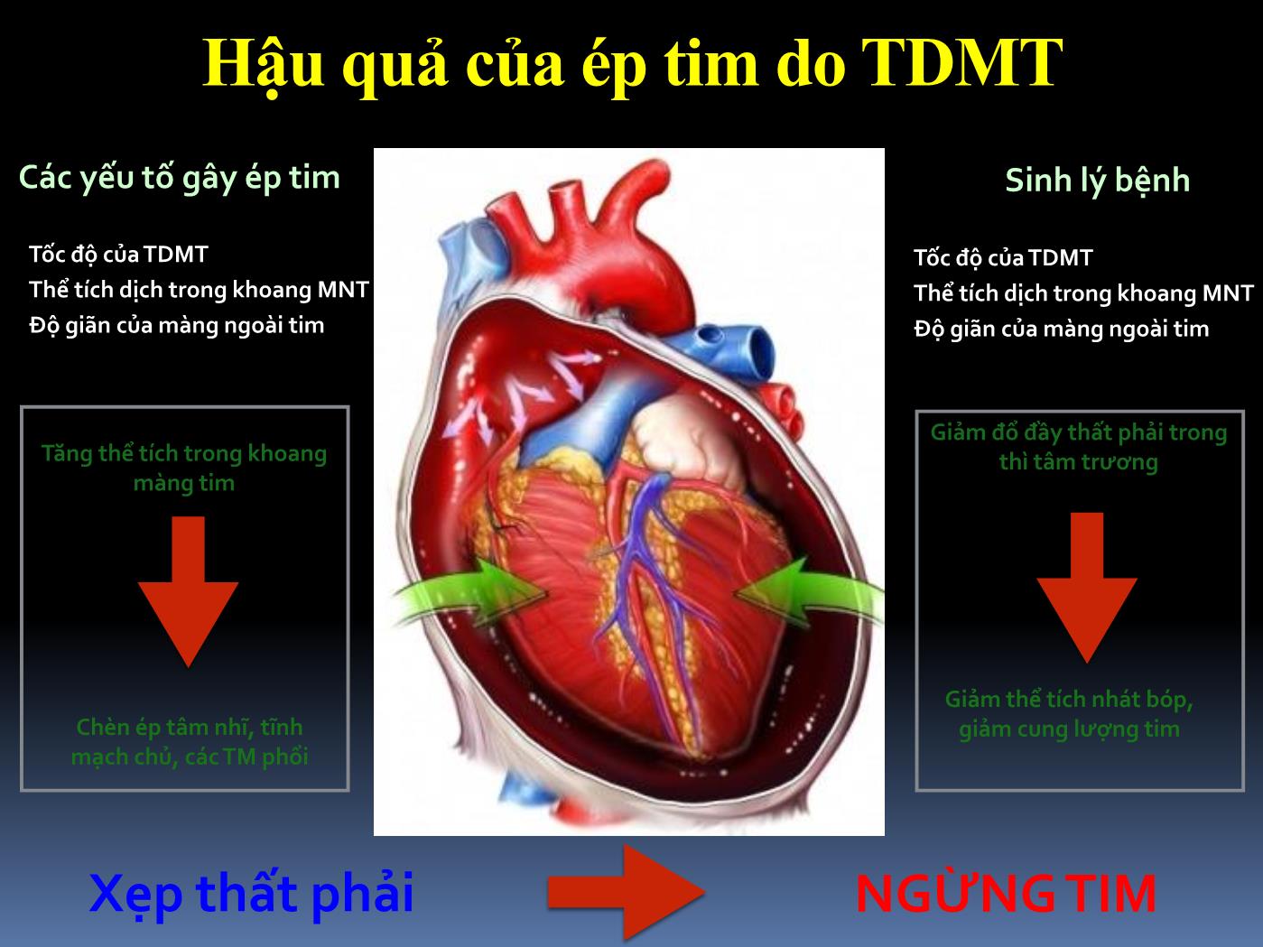 Bài giảng Cấp cứu tràn dịch màng tim gây ép tim - Hoàng Việt Anh trang 6