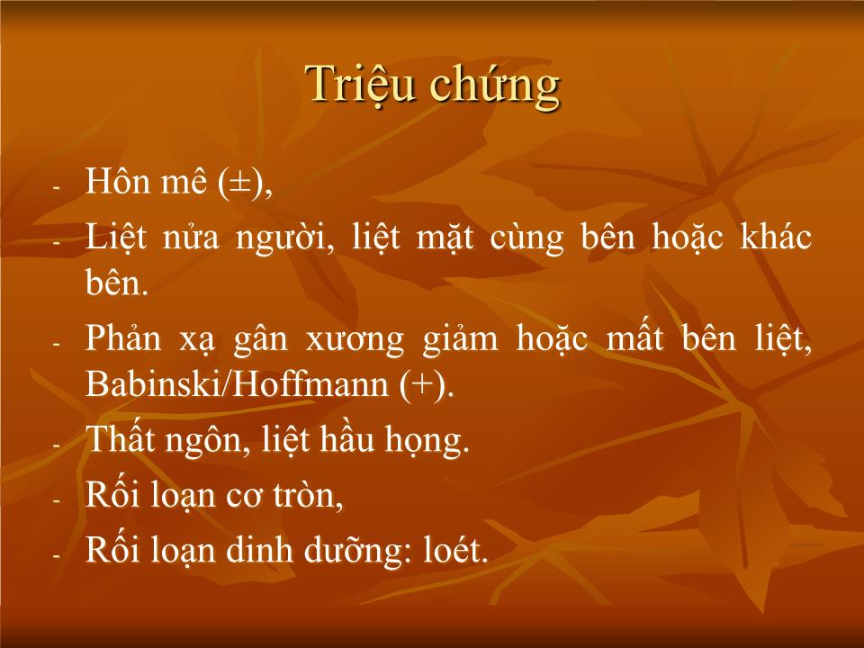 Bài giảng Chăm sóc bệnh nhân tai biến mạch máu não - Nguyễn Thanh Bình trang 10