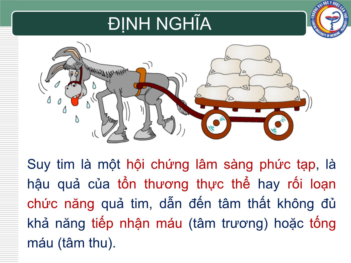 Bài giảng Chẩn đoán và điều trị suy tim - Trần Viết An trang 2