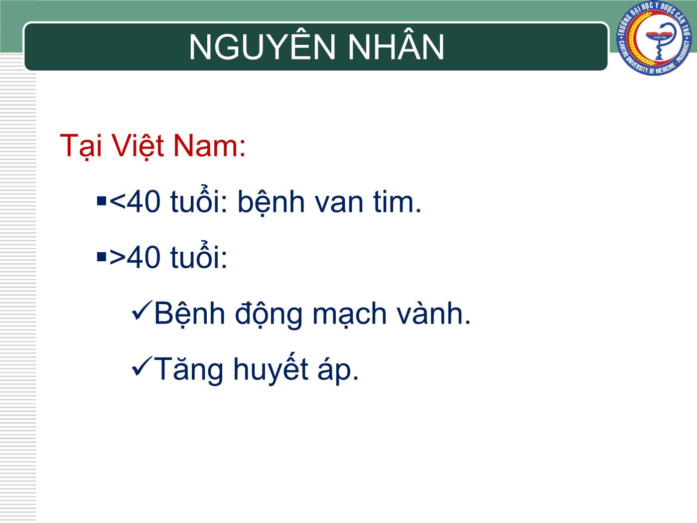 Bài giảng Chẩn đoán và điều trị suy tim - Trần Viết An trang 4