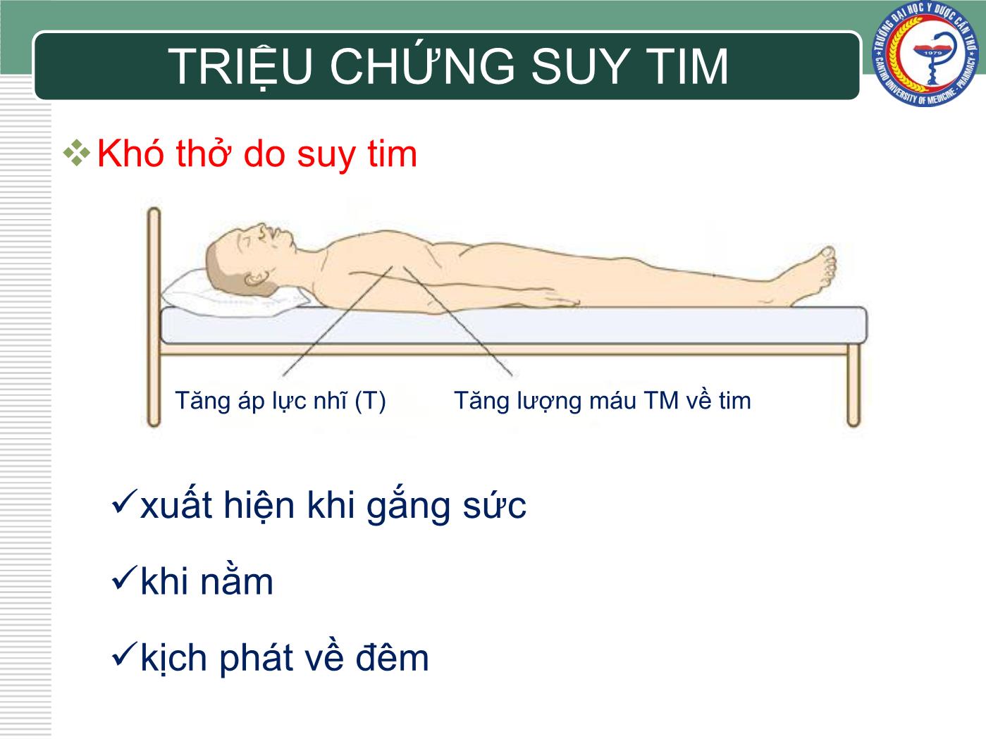 Bài giảng Chẩn đoán và điều trị suy tim - Trần Viết An trang 6