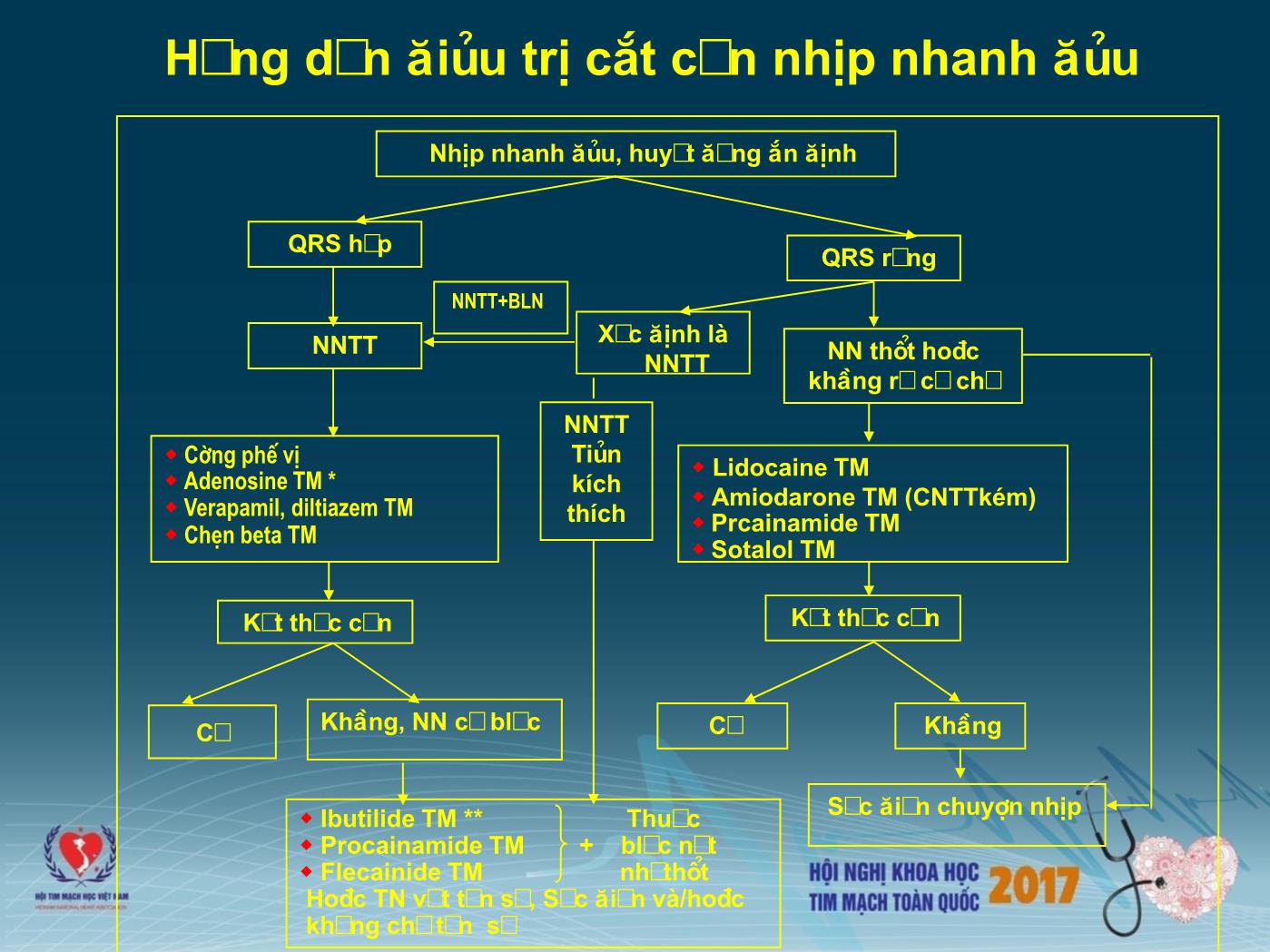 Chẩn đoán và xử trí các rối loạn nhịp cấp tính - Trần Văn Đồng trang 10