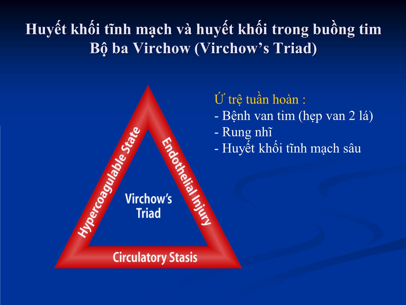 Bài giảng Điều trị chống huyết khối trong các bệnh lý tim mạch - Hồ Huỳnh Quang Trí trang 4